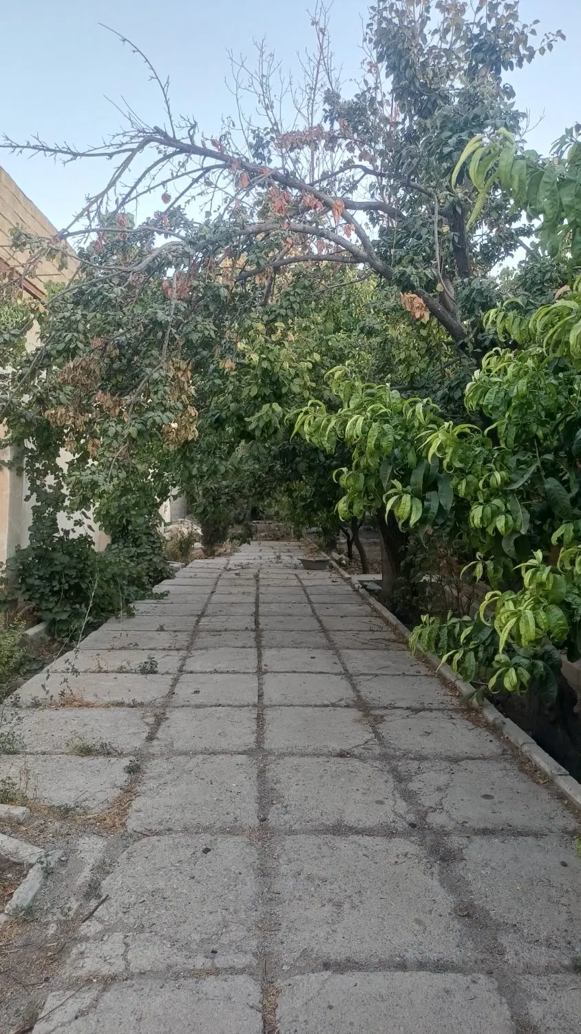 باغچه ۴۰۰متری