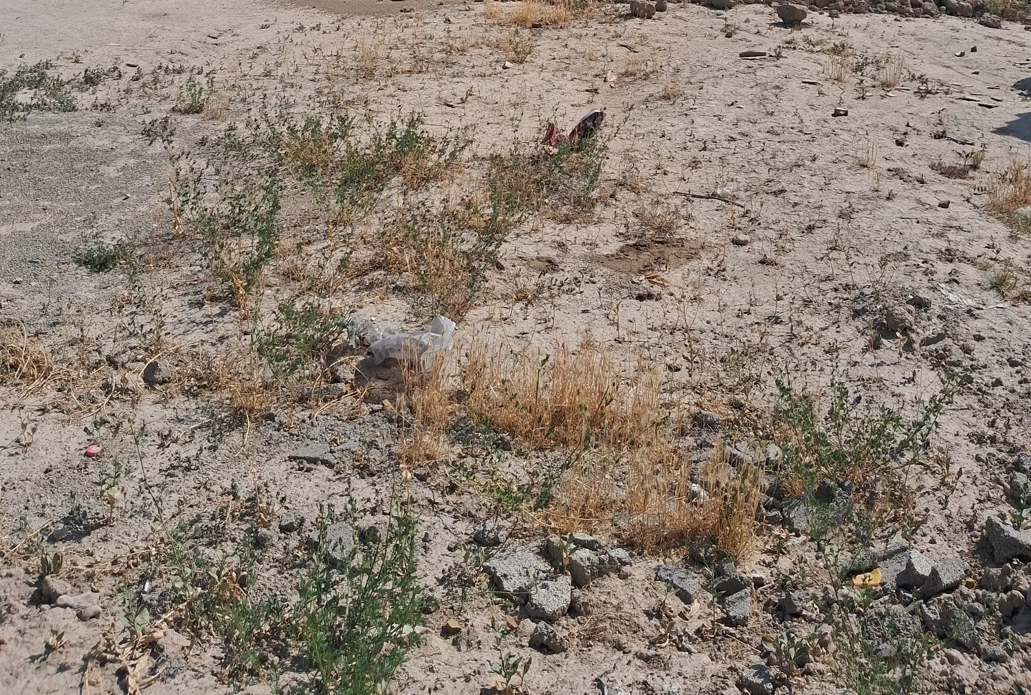 زمین ۲ بر جا مغازه