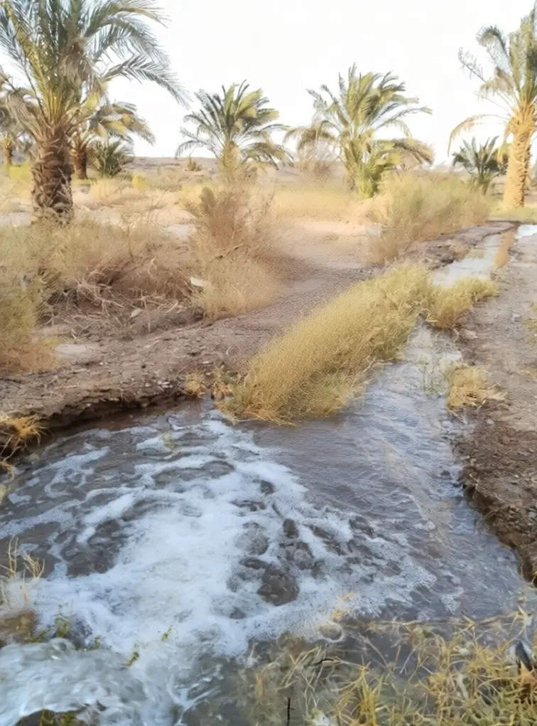 زمین و آب فروشی