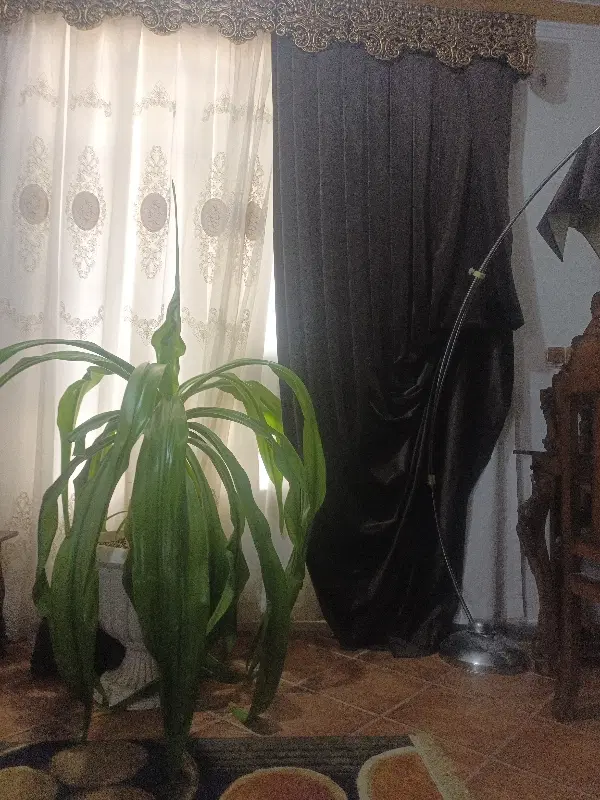 منزل فروشی خیابان ولیعصر