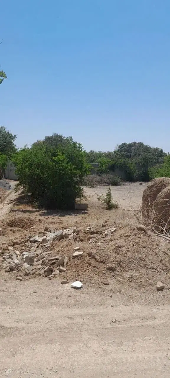 زمین باغی