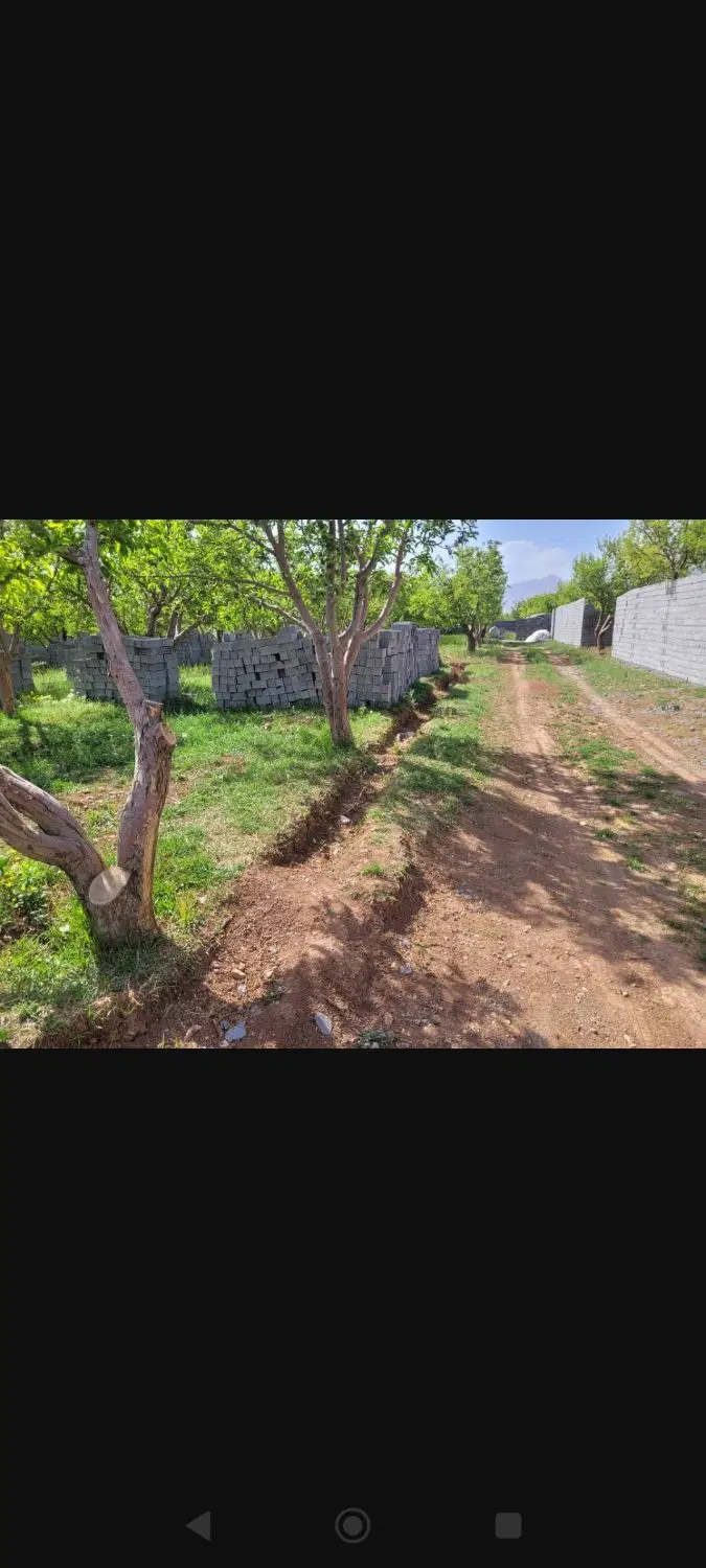 فروش220مترباغچه با درختان مثمر  در جابان باغستان