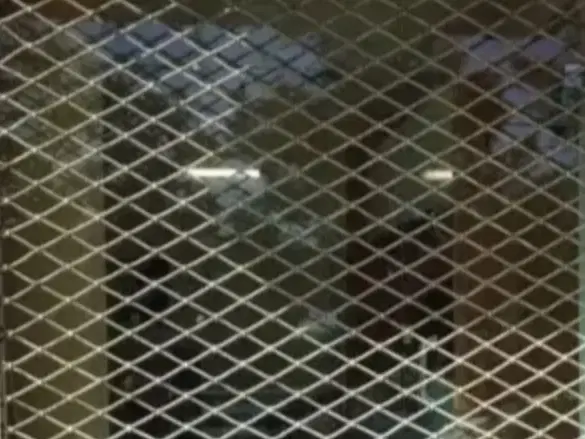 اجاره مغازه جامی
