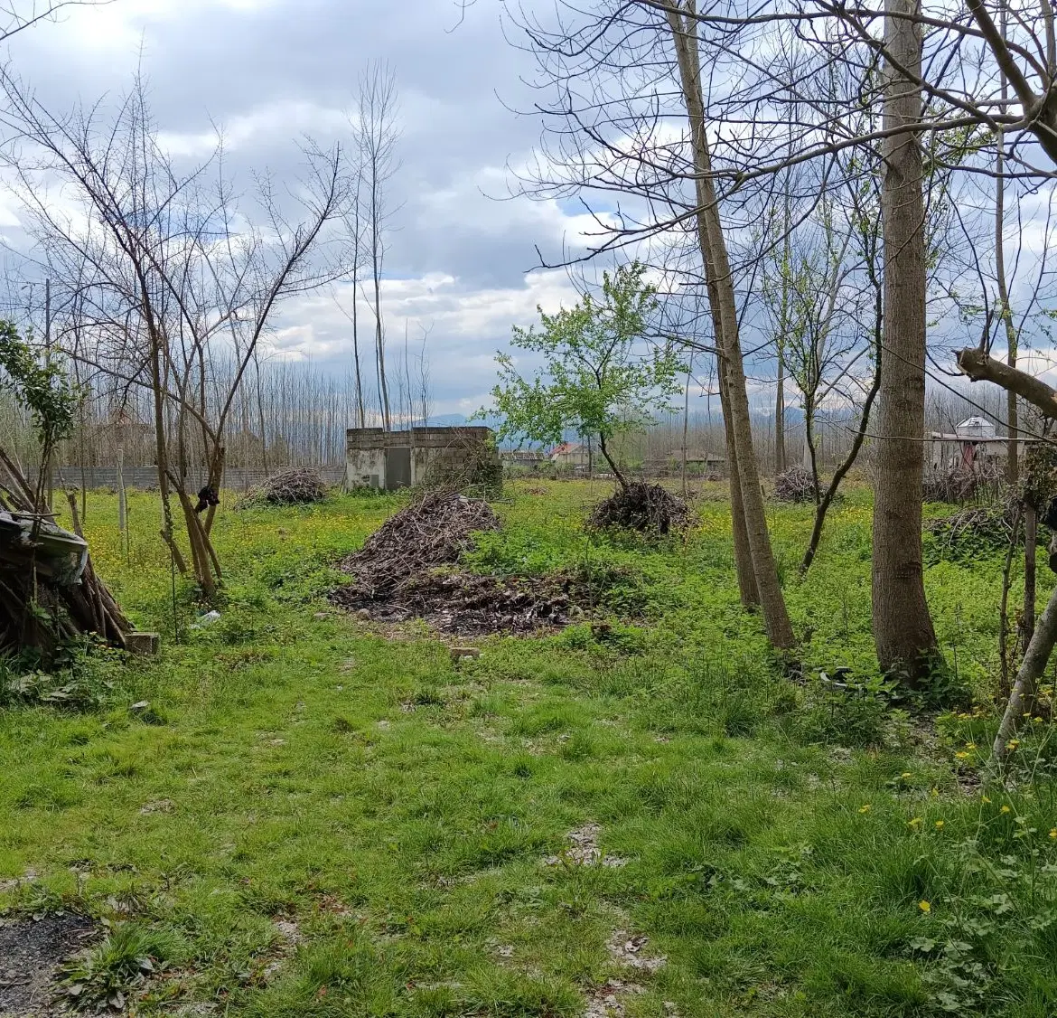 زمین داخل طرح هادی ، صومعه سرا