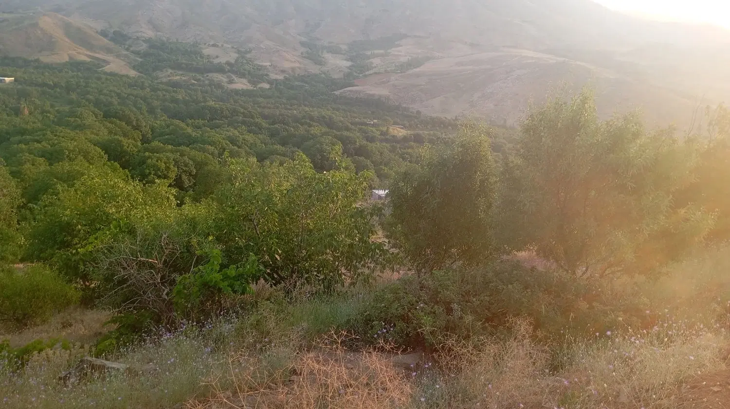 یک قطعه زمین واق در روستایی وهنان بفروش می‌رسد