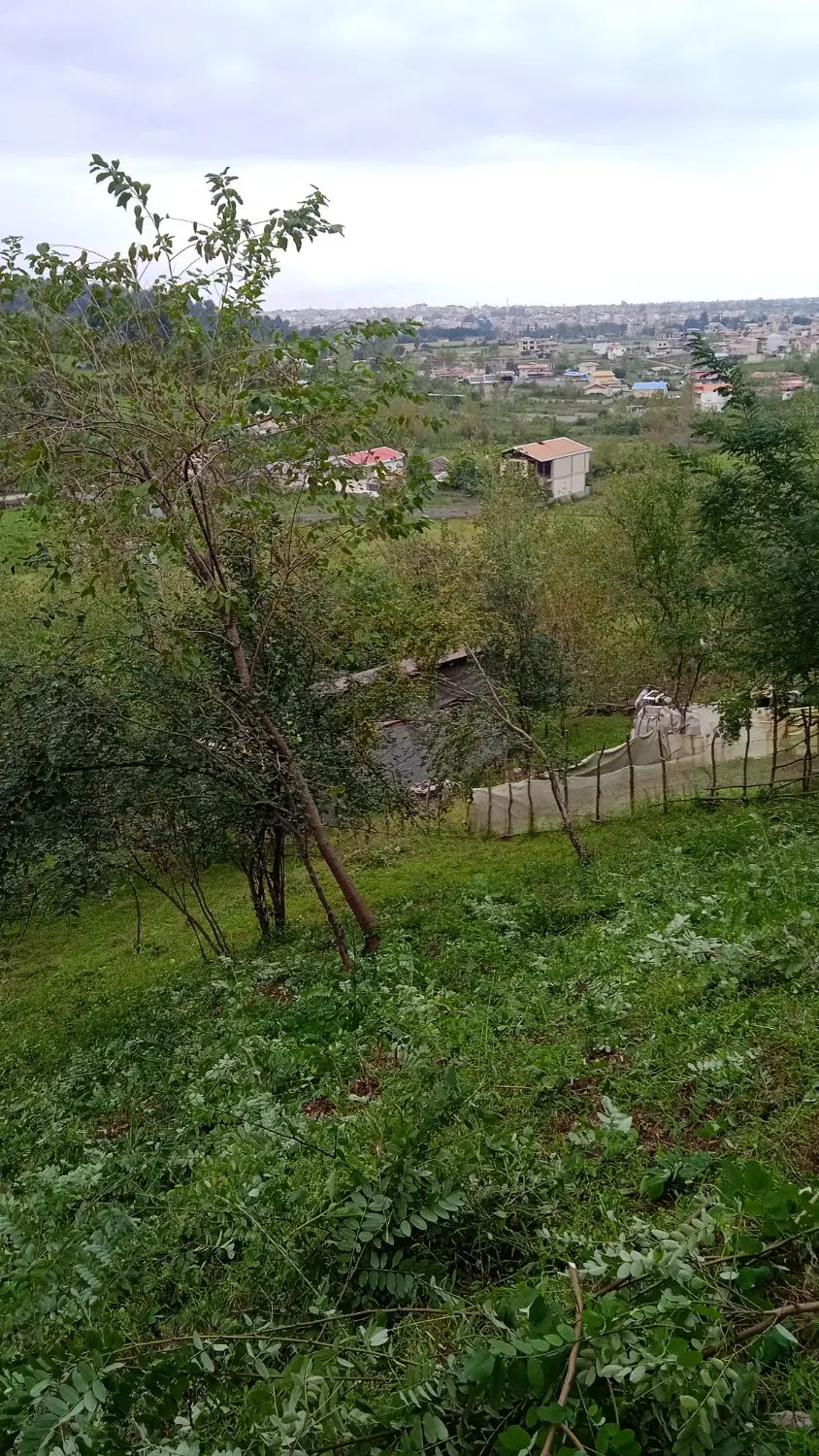 فروش زمین باغات
