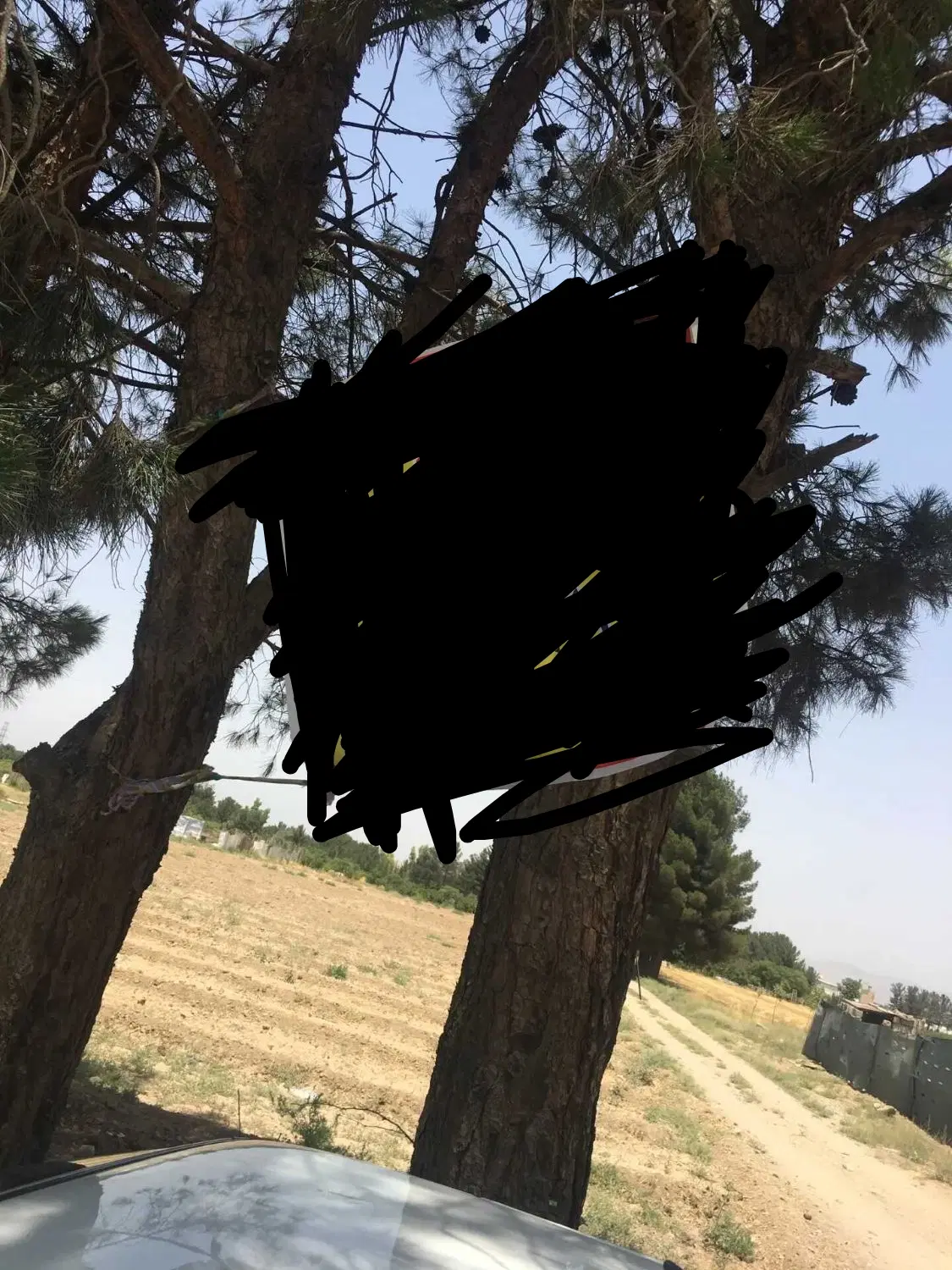 فروش زمین کشاورزی۵۰۰متر