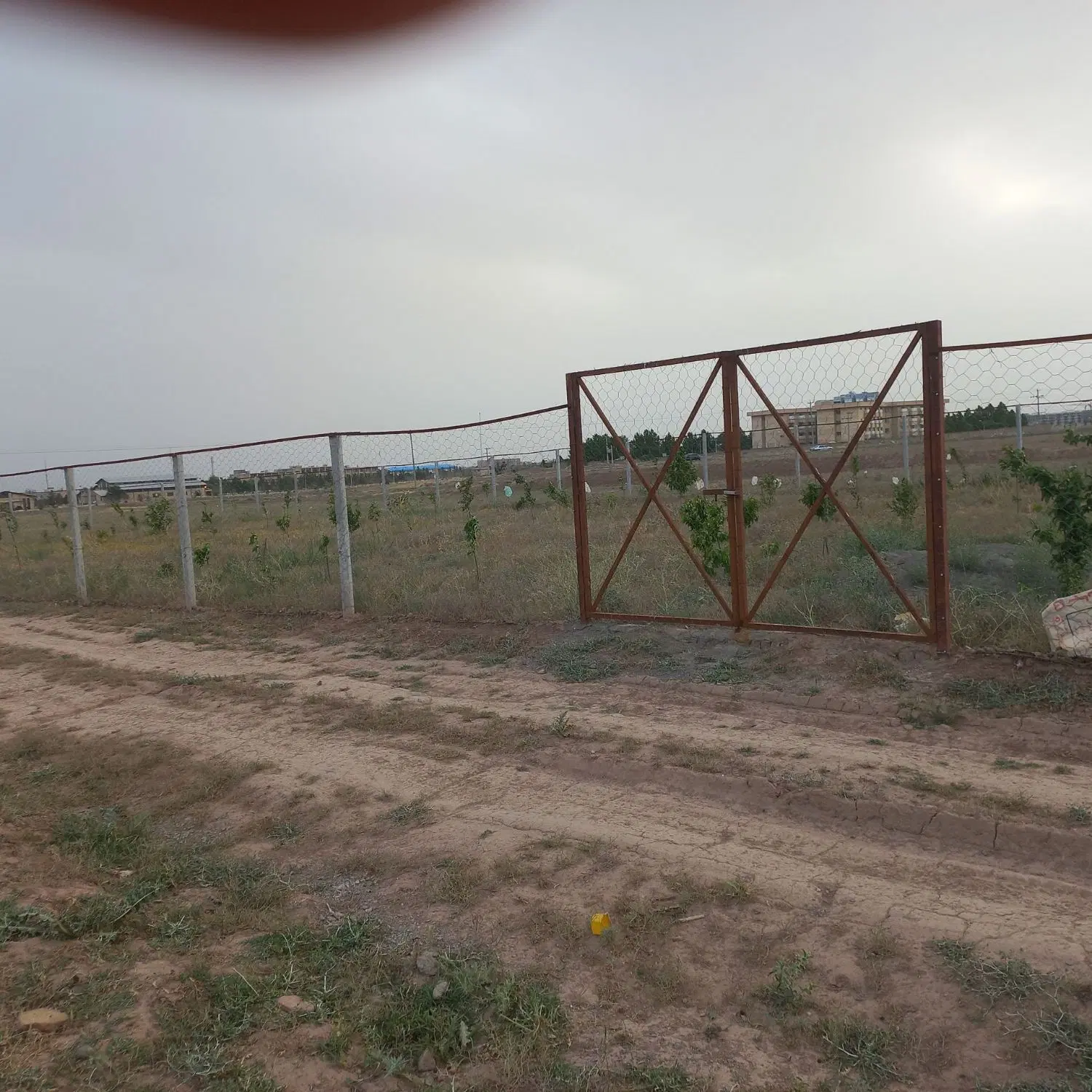 زمین کشاورزی صومعه
