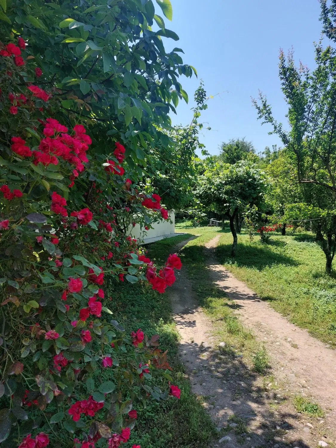 فروش زمین مسکونی