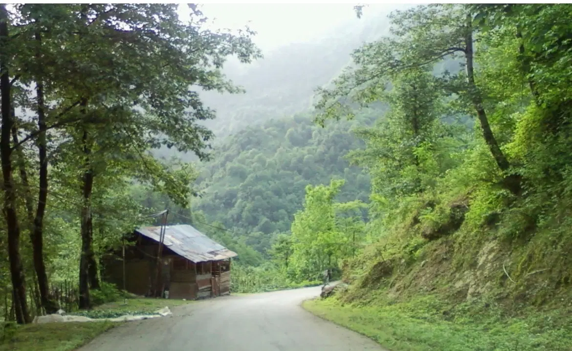 زمین مسکونی ماشاتوک ۱۶۸ متر مسکونی