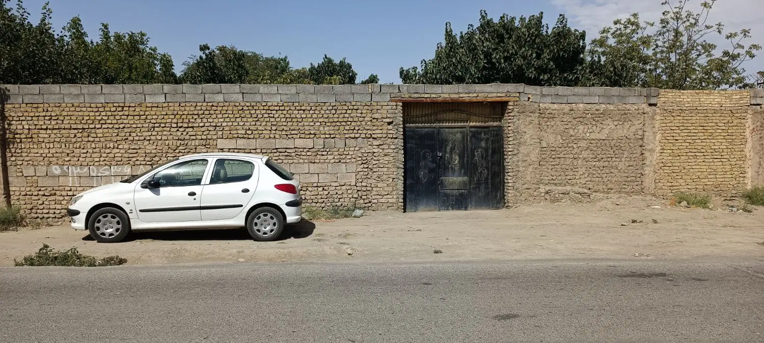 زمین دور دیوار توس ۴۱ سند تک برگ