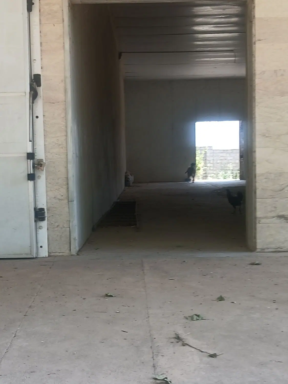 اجاره سردخانه بالای صفر