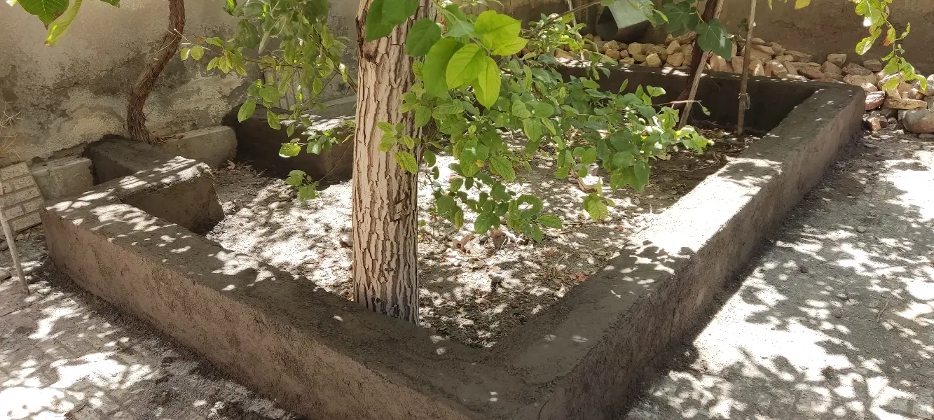 ویلایی روستای بشنیج