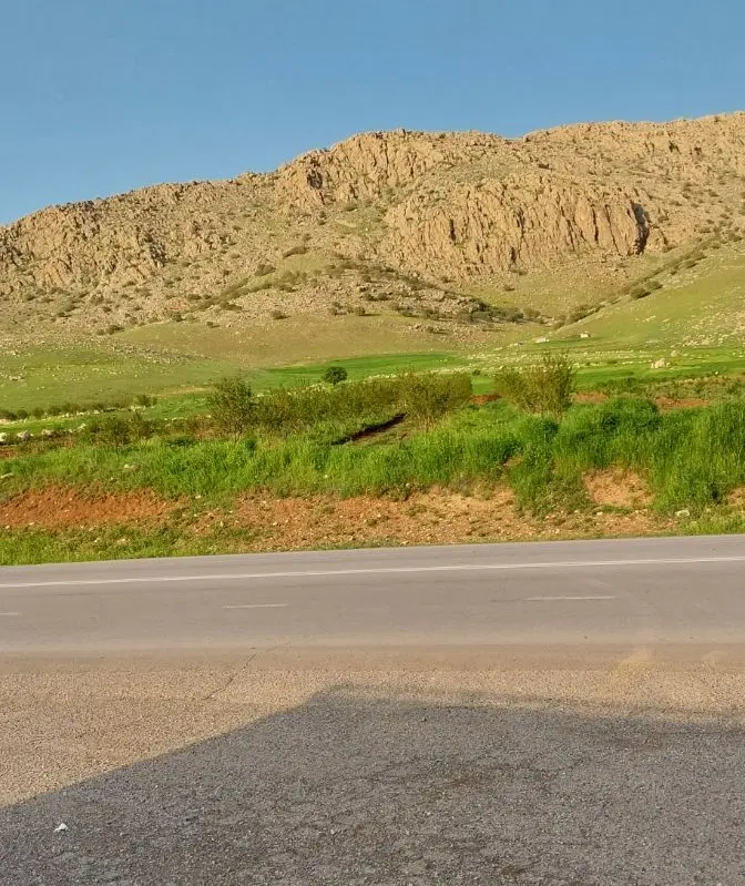 باغ بادم دیم