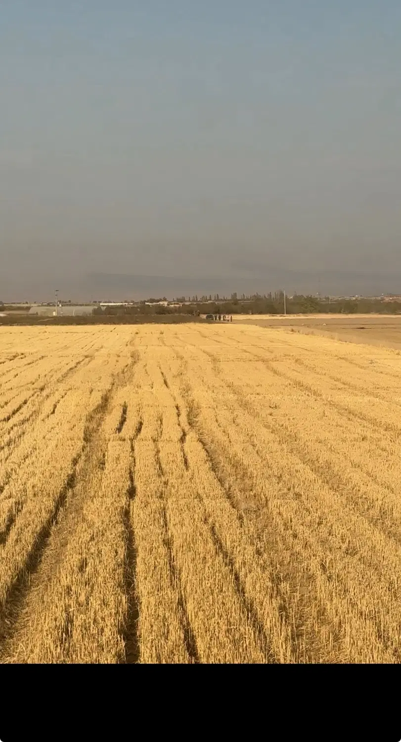 زمین کشاورزی