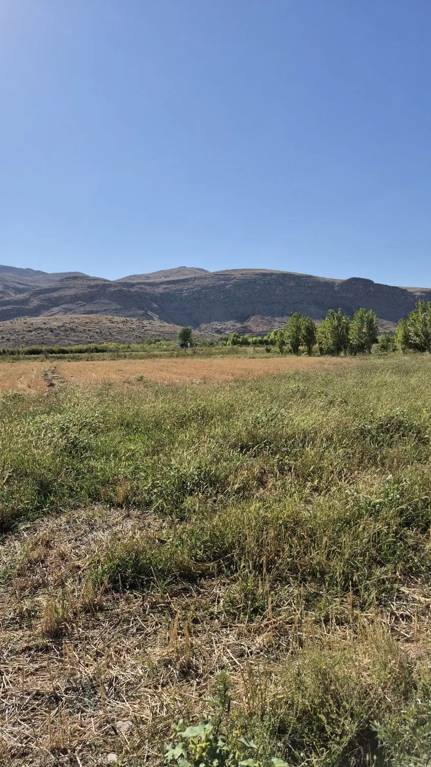 زمین زراعی و کشاورزی