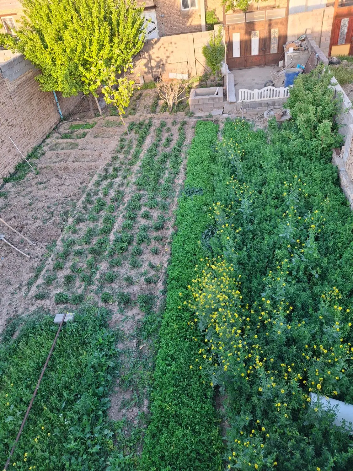 زمین مسکونی روستای آبرومند