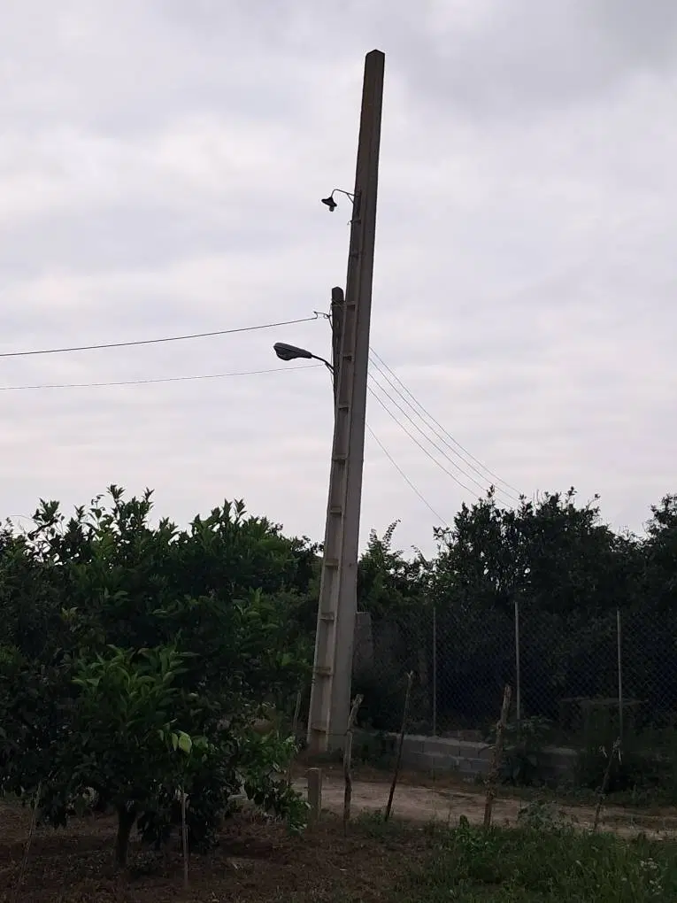 زمین باغ