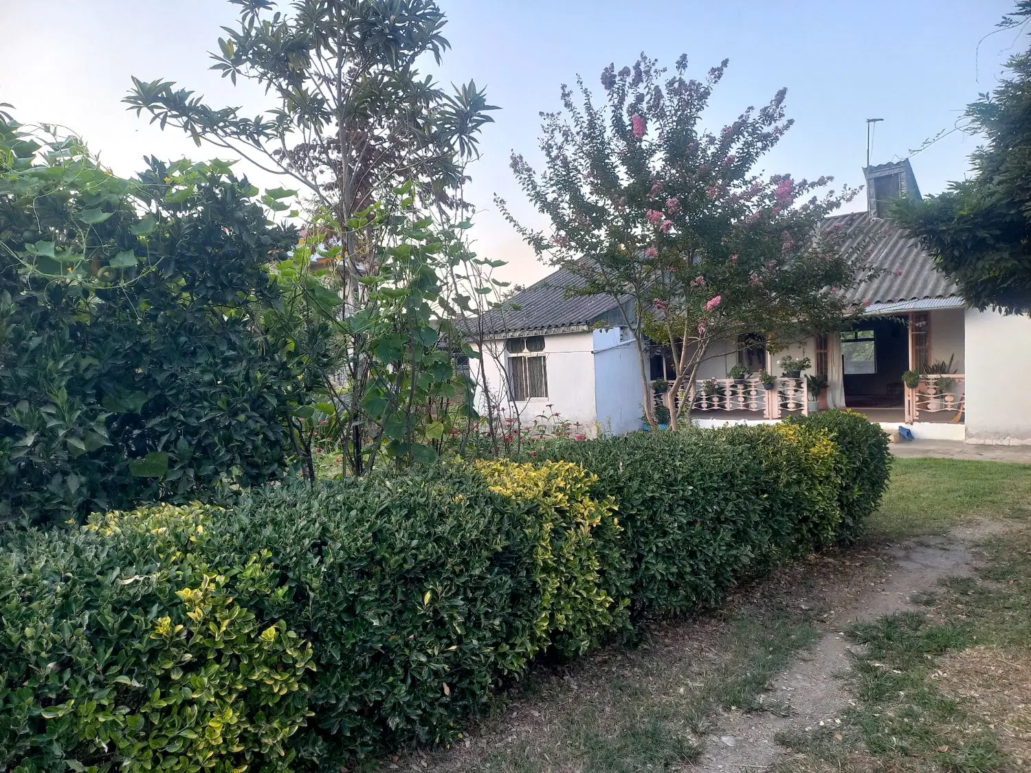 ویلای جنگلی