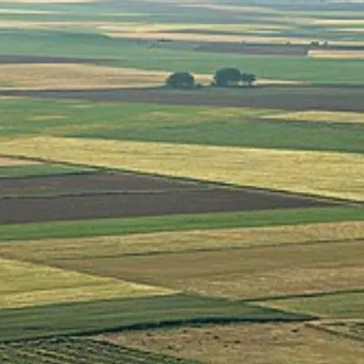 زمین