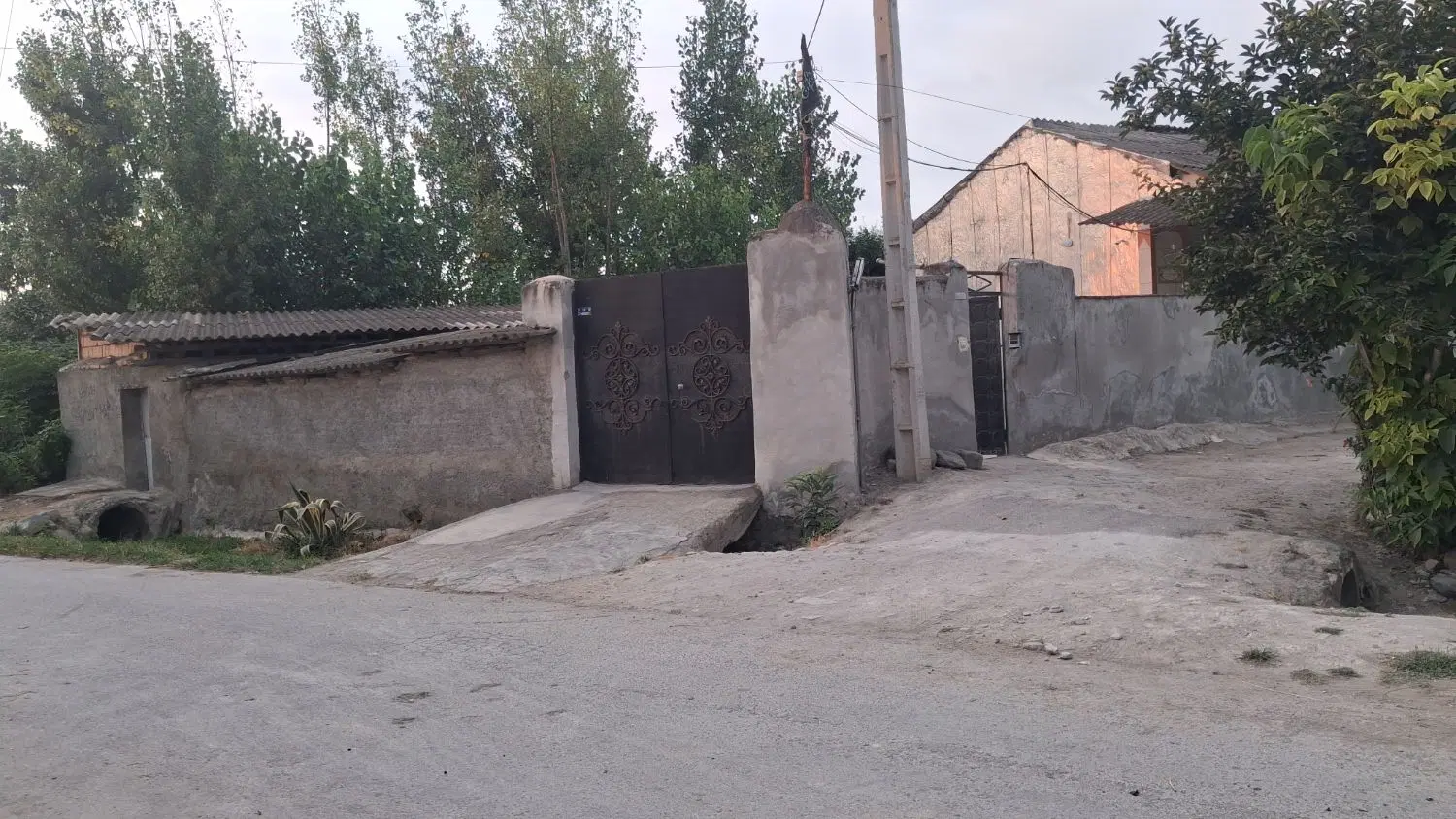 خریدارسابق از چمستان باغ پرتقال کهنه کلبادبندرگز