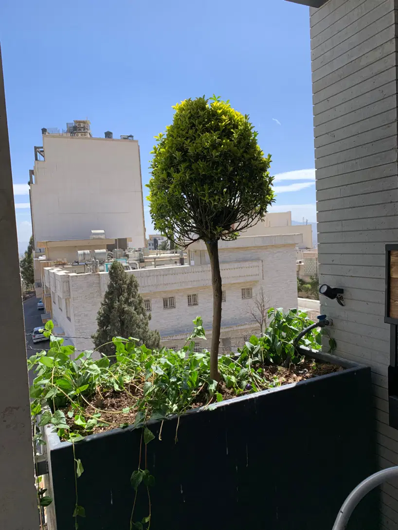 رهن کامل ۲ خواب فرهنگ شهر