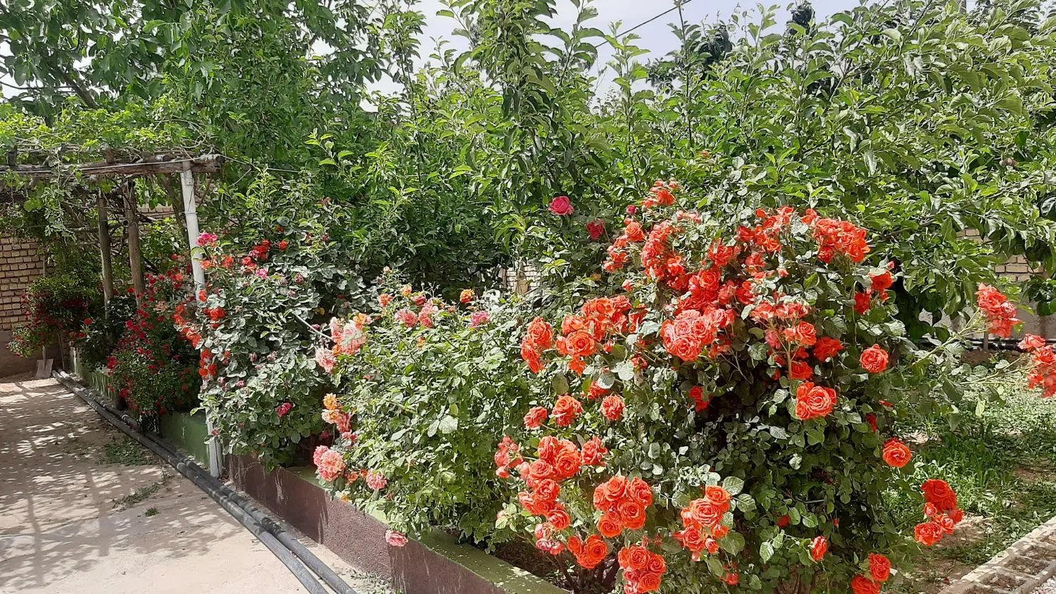 باسلام. فروش ویلاباغ بسیارزیبا.