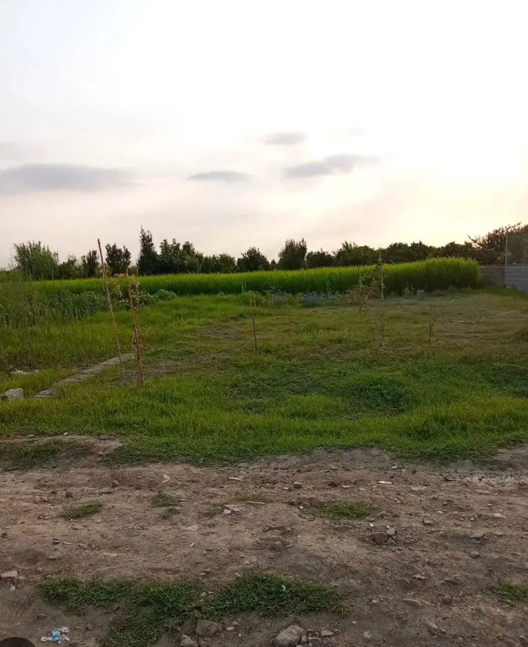 زمین