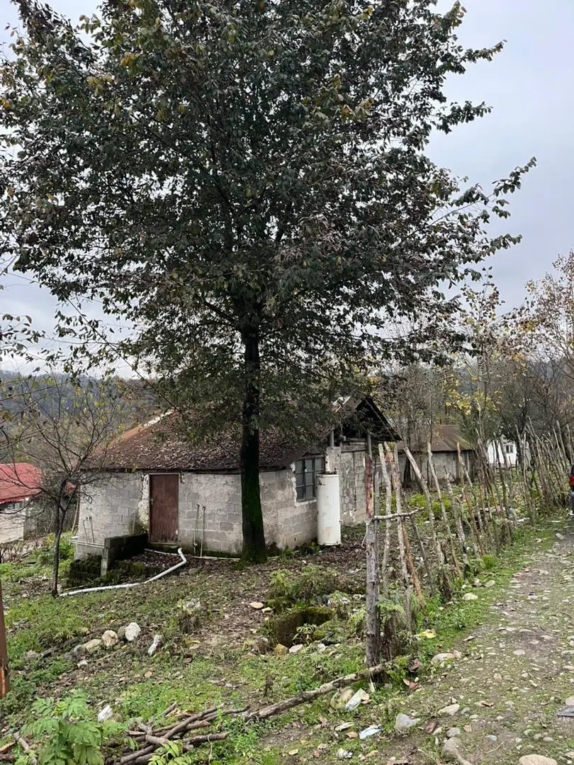 خانه کلنگی روستای گنجار