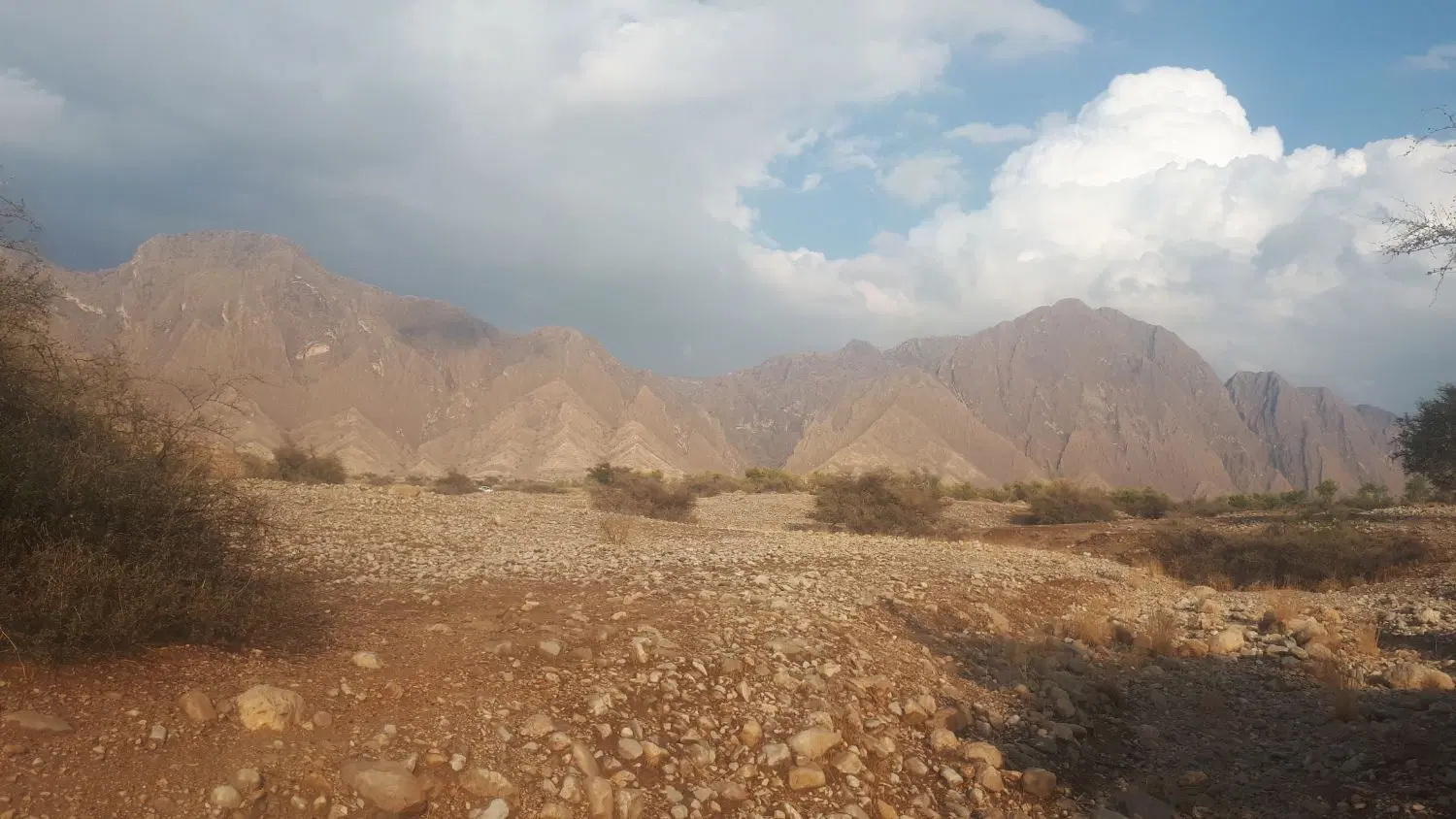 امتیاز زمین طرح سه فرزندی