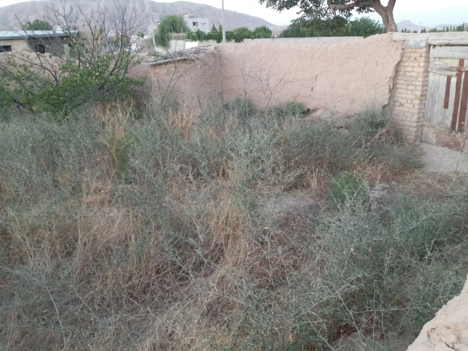 زمین ۵۵۰ متر سند دار محدثی