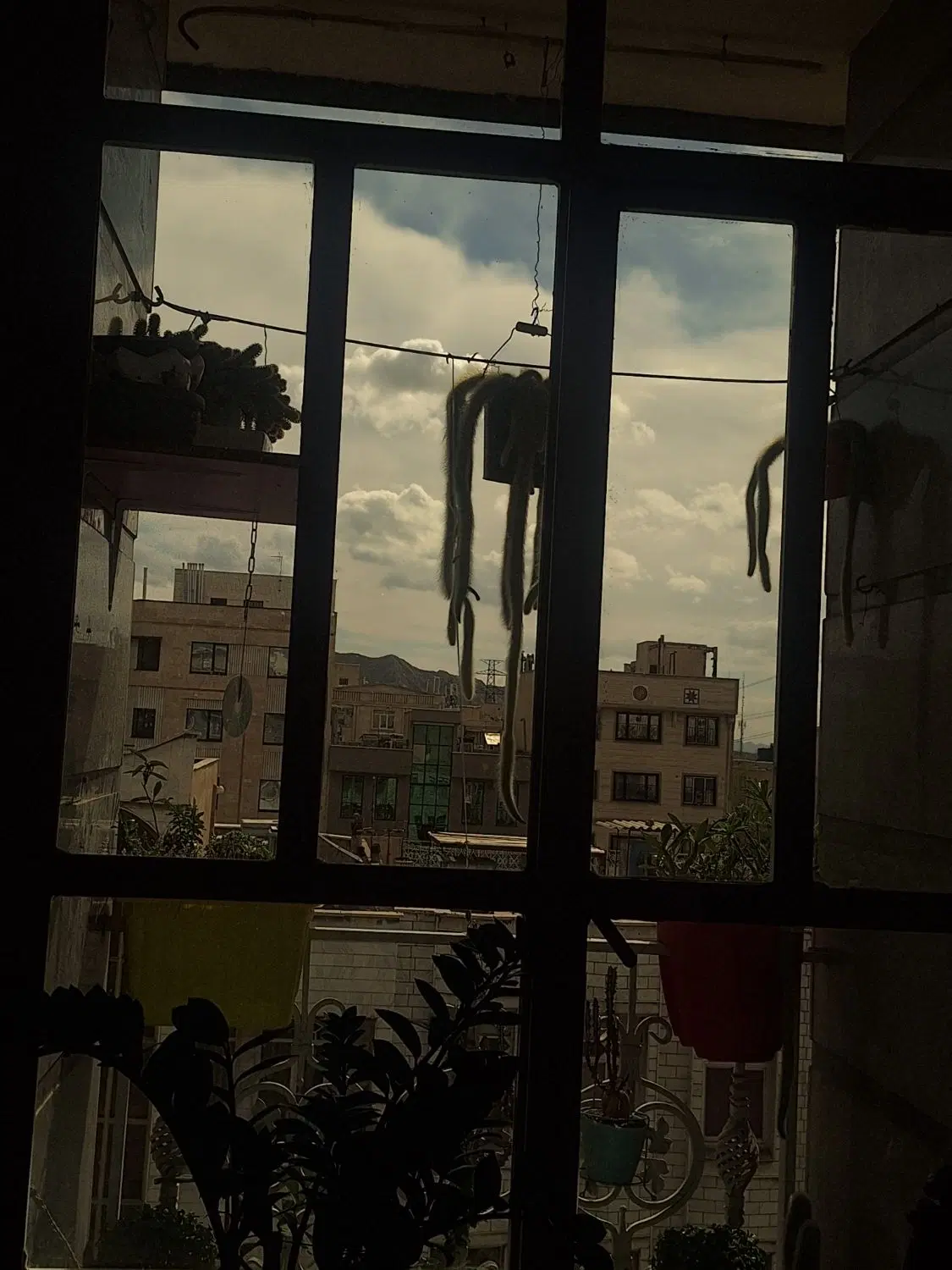 اجاره آپارتمان ۵۳متری یه خوابه پارکینگ دار