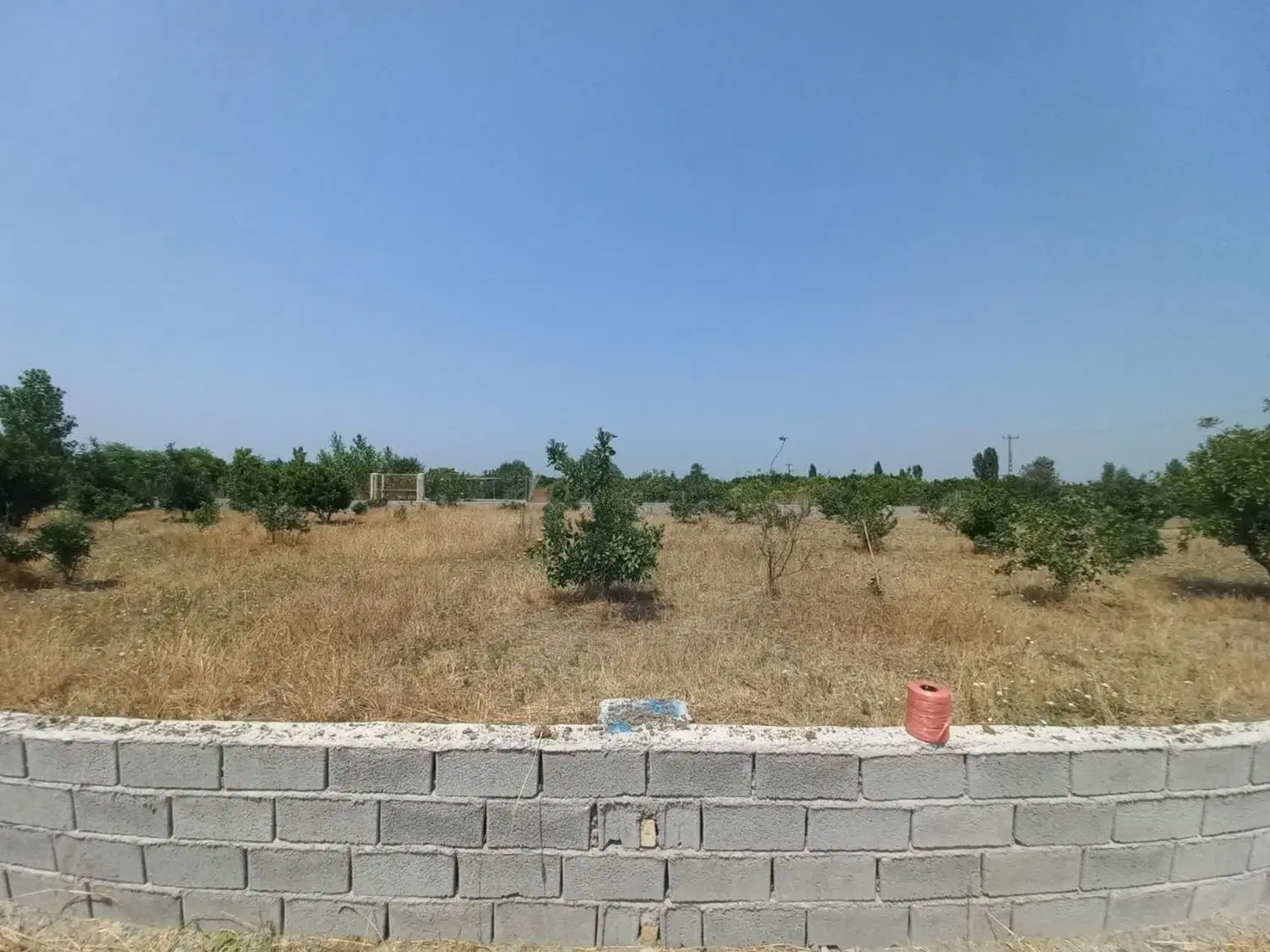 زمین کشاورزی ۳۰۰متر