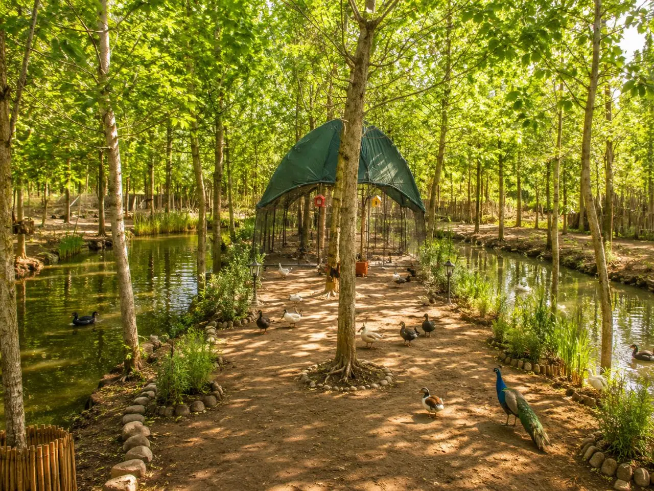 این پیشنهاد دیگر تکرار نمی‌شود