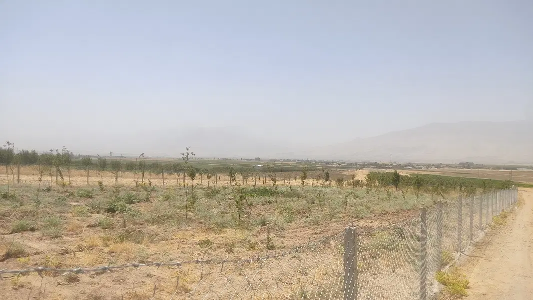 فروش باغ