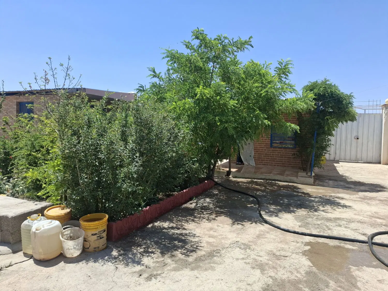 زمین وباغچه