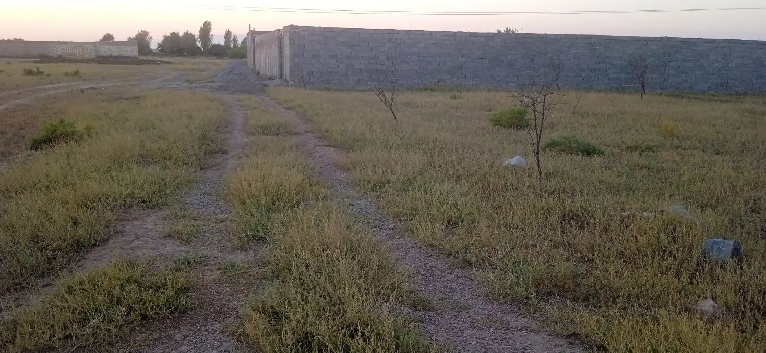 زمین باغی با درختان بادام