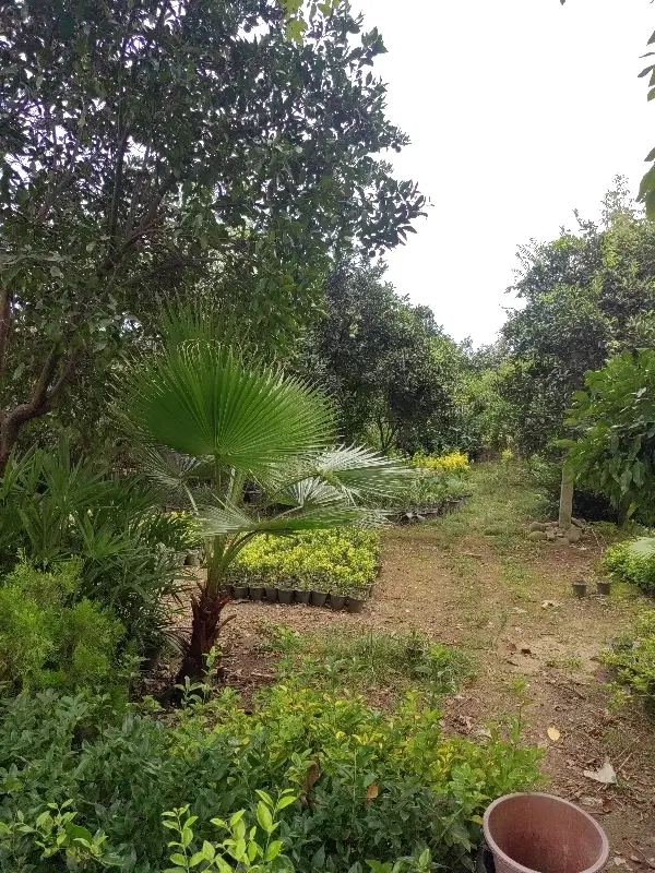 باغ زیبا