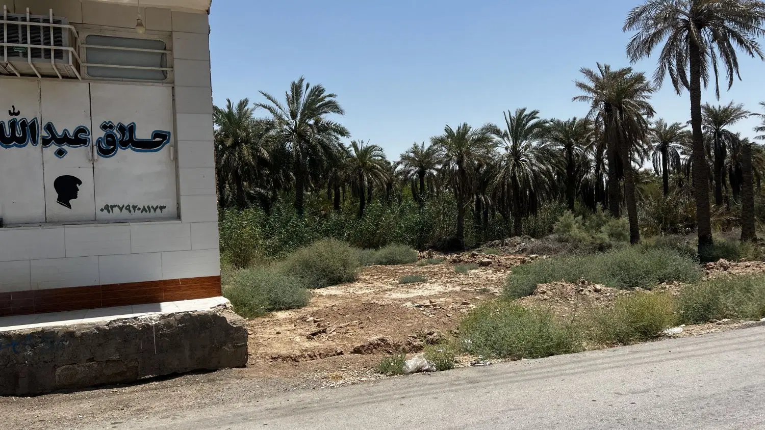 زمین واقع در سلیچ