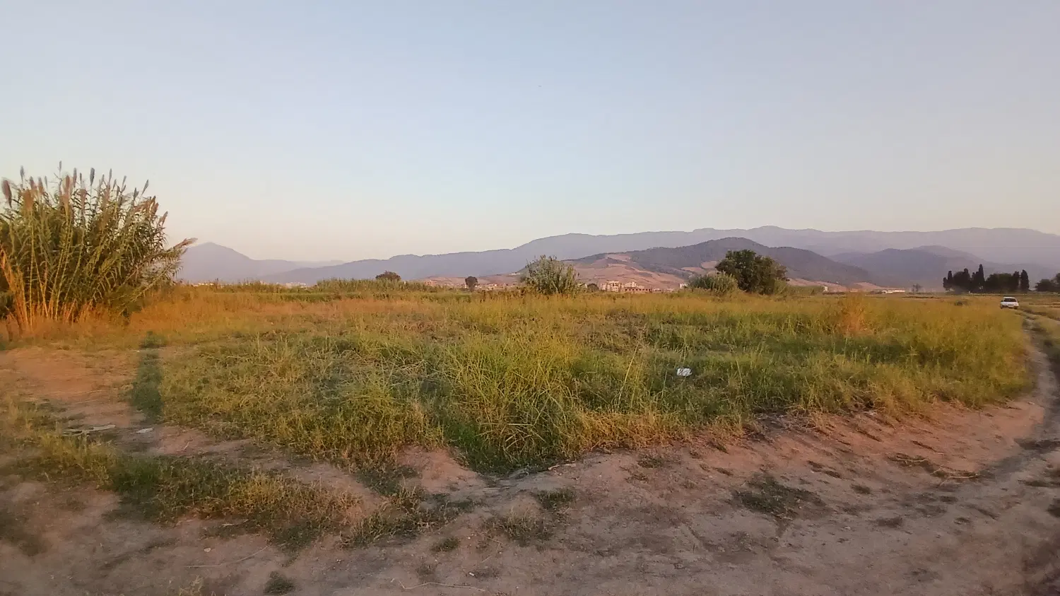 زمین باغی شکار در آزادشهر