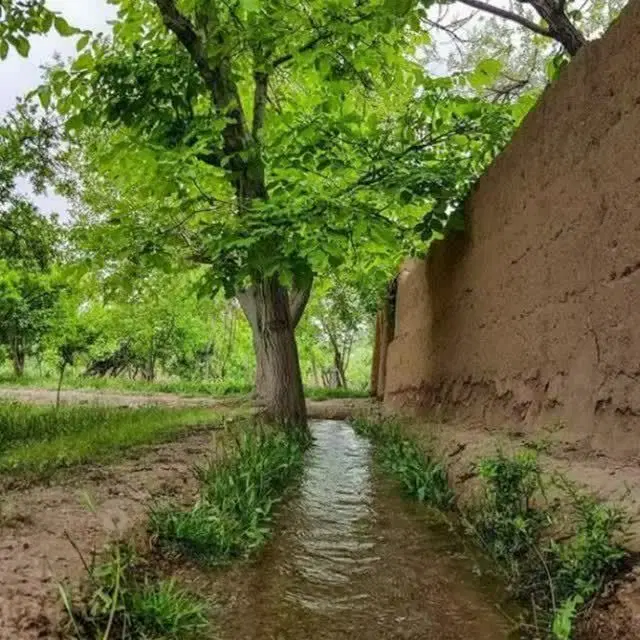 زمین فروشی باغسنگان