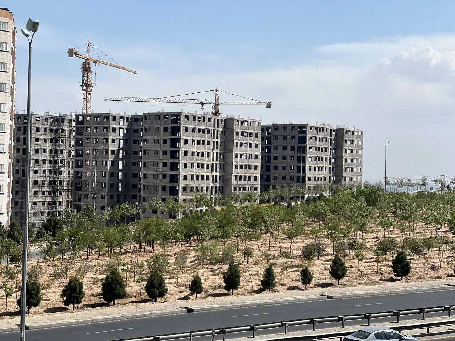 پیش فروش بانک کشاورزی گل نرگس