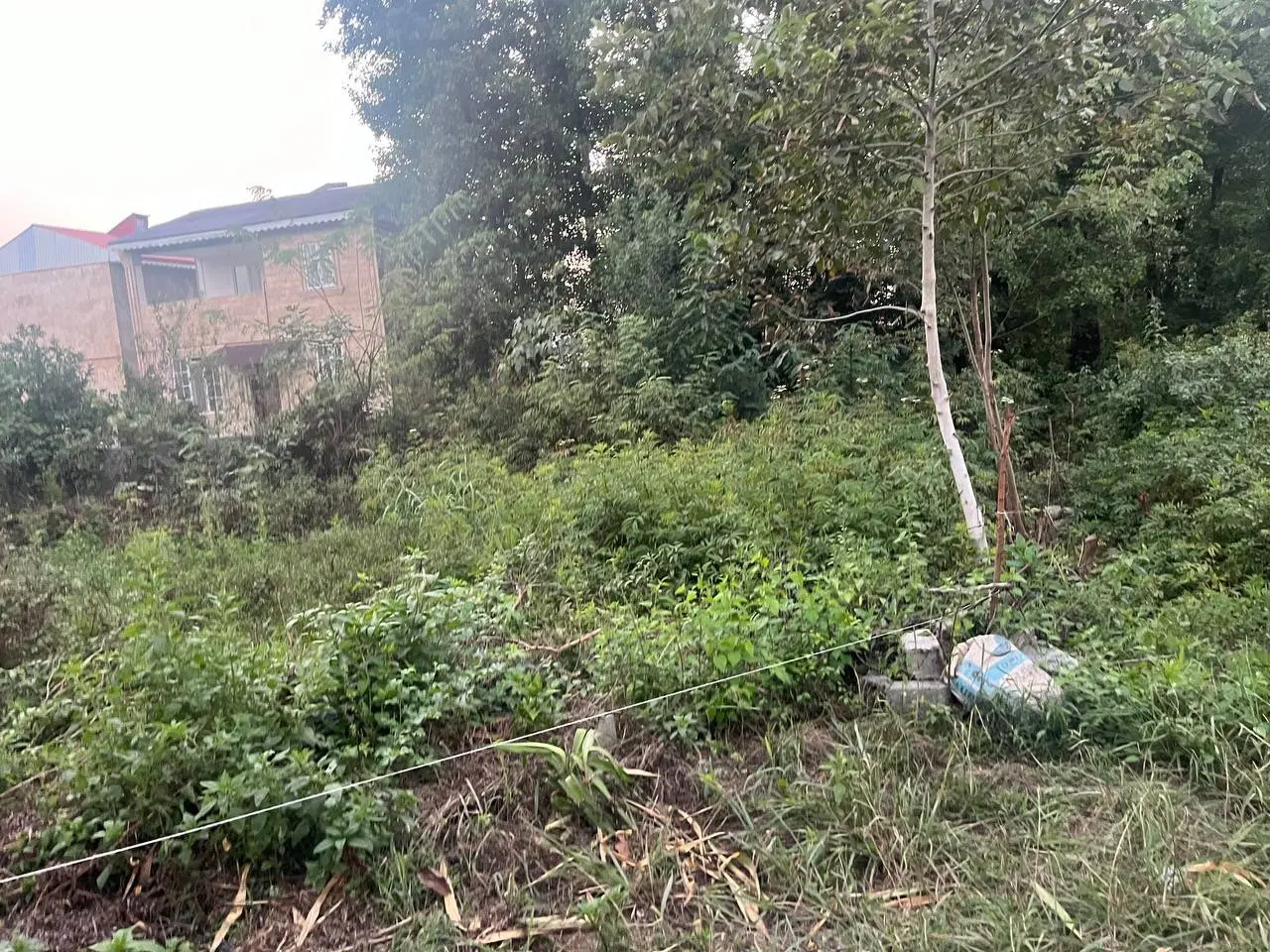 زمین مسکونی در سیاهکل،روستای گوکه