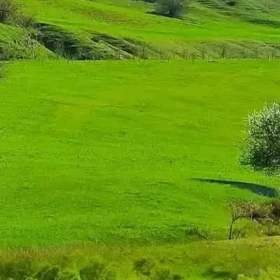 فروش زمین