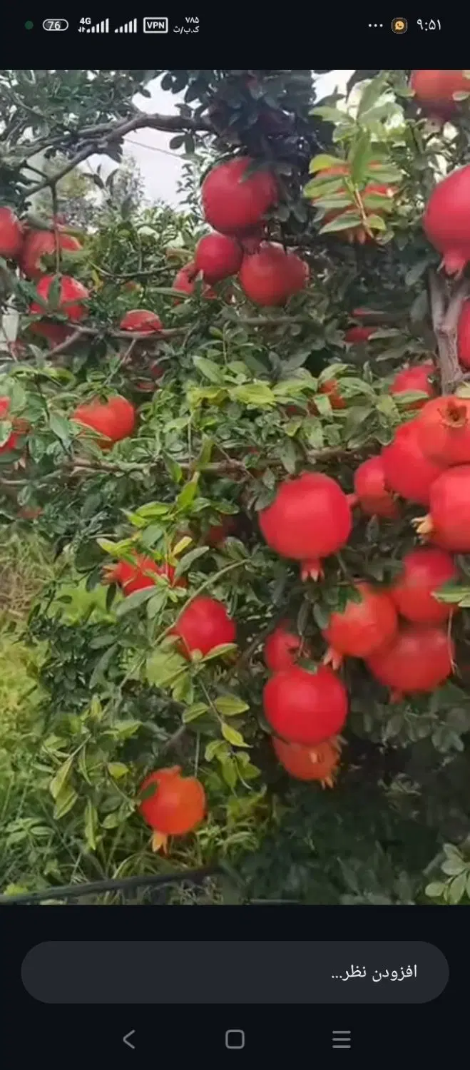 فروش زمین