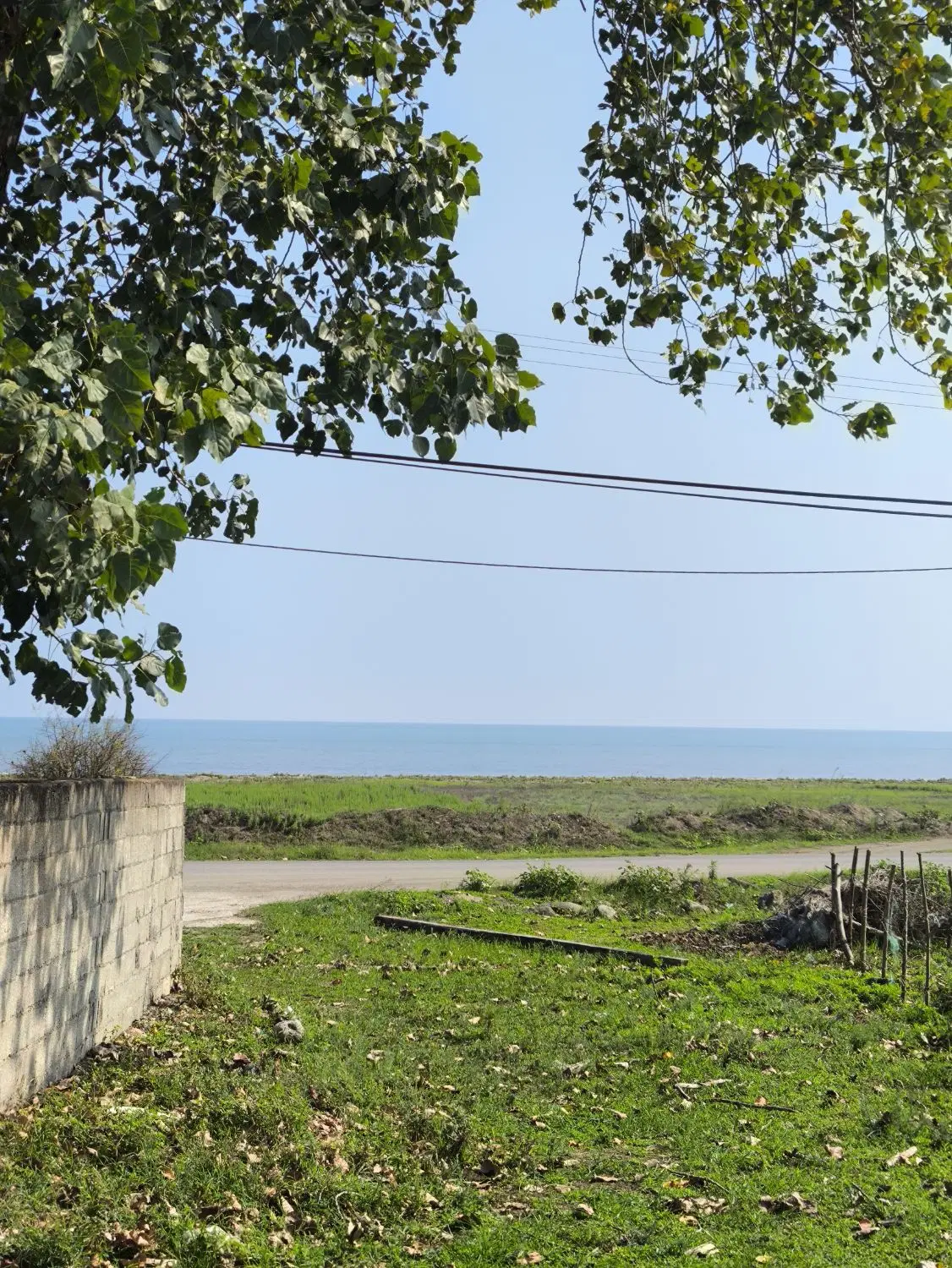 زمین