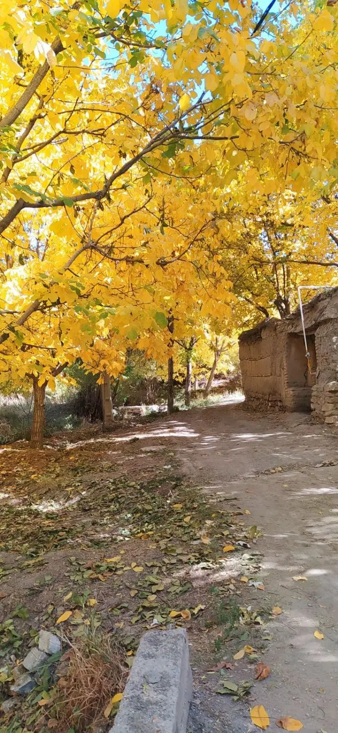 فروش باغ و ویلاهای خاص و منتخب اسکو