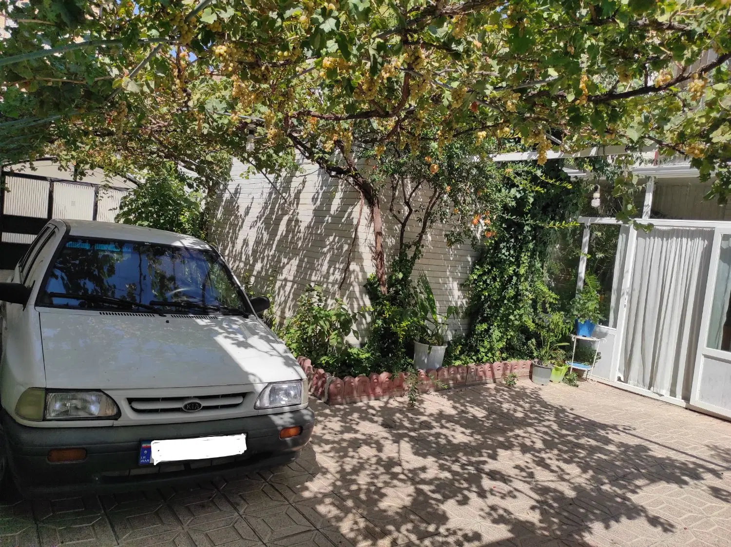 حیاط ویلایی