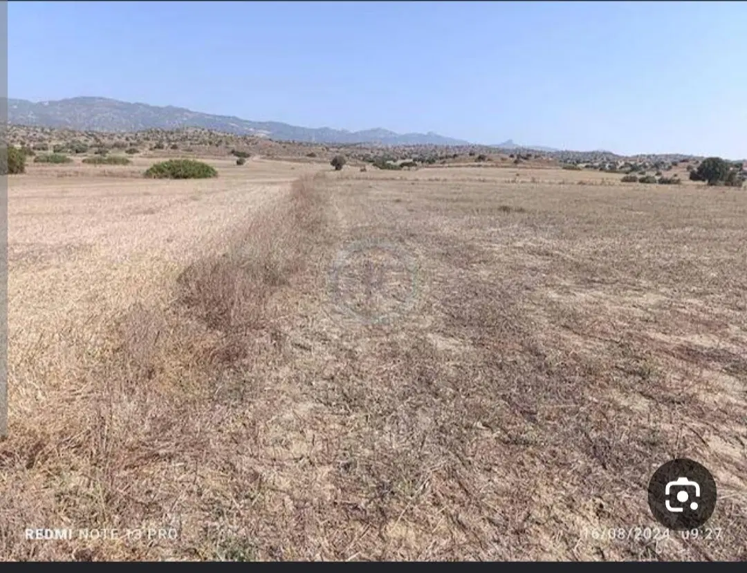 زمین داخل طرح هادی روستای سراور