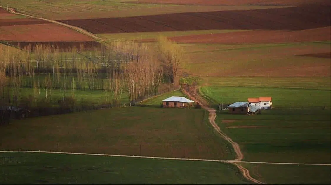 فروش زمین کشاورزی در لاشک